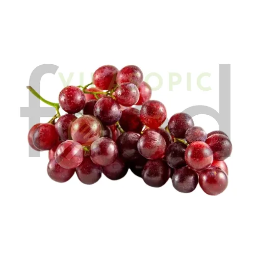 Premium Ready-to-Eat Foods